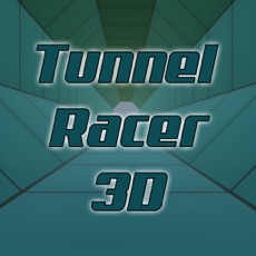 Activities of Tunnel Racer 3D