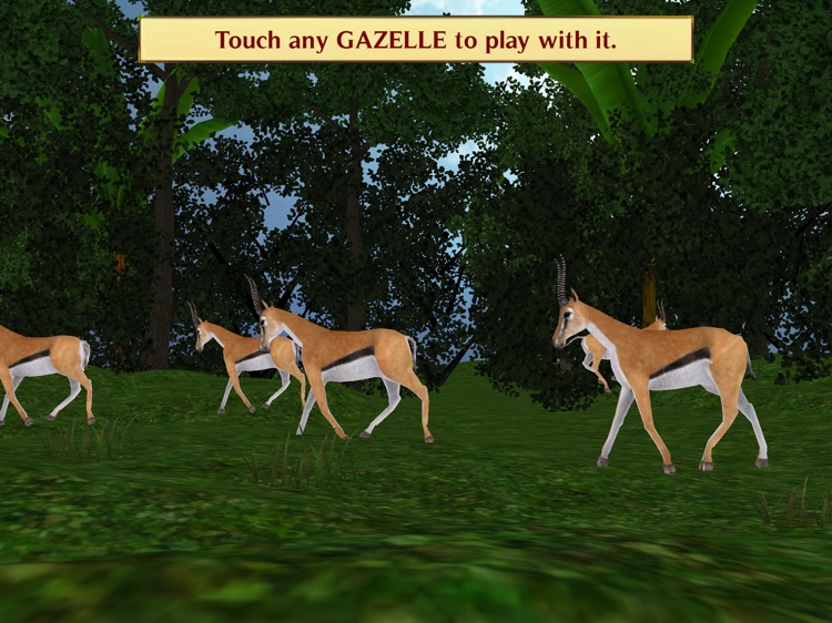 Magic Boox: Jungle Safari screenshot-4