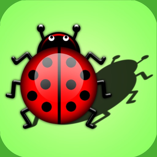 Puzzles shadow. Little bugs. Educational game iOS App