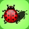 Puzzles shadow. Little bugs. Educational game