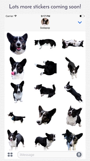 Sodapop the Corgi Stickers(圖2)-速報App