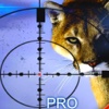 Animal Tiger Pro: You Are The Top Hunter