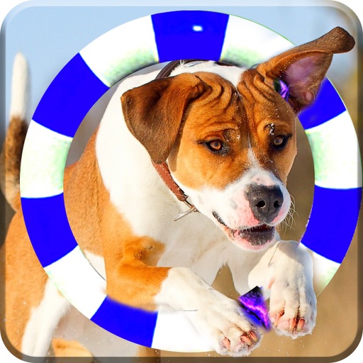 3d Dog Running Adventure Pro icon