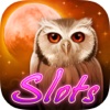 Slots: Owl Moon Casino & Multiline Slot Machines