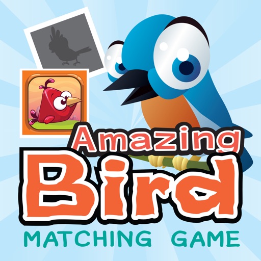 Amazing Birds Matching Game For Kid Icon