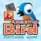 Amazing Birds Matching Game For Kid