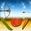 Vegetable Slice Archery Game