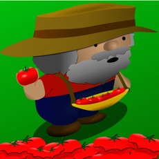Activities of Tomato Splash