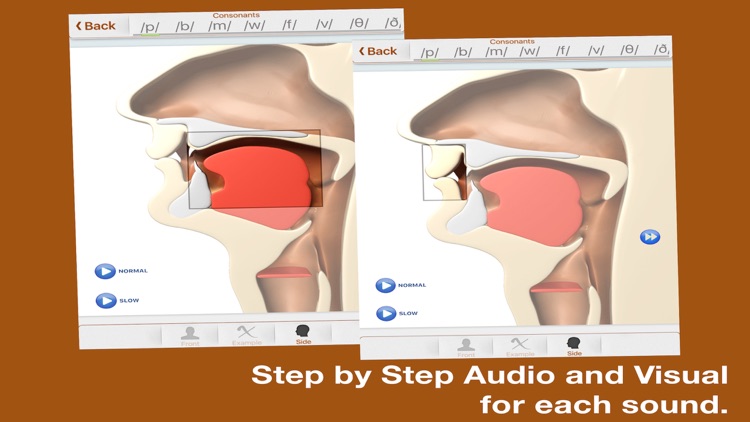 Speech Trainer 3D screenshot-3
