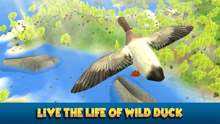 Duck Simulator 3D: Flying Bird Life