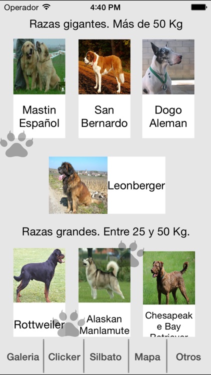 Entrena Tu Perro