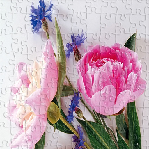 Flowers Jigsaw Puzzle For Kids 4 Year iOS App