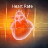 All About Heart Rate-Pulse Guide