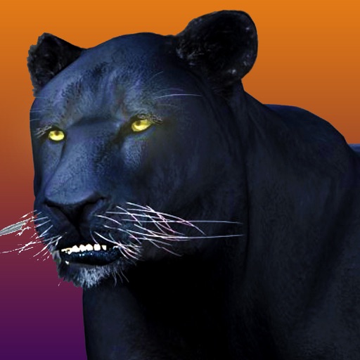 Deadly Black Panther - WIld Animal Simulator 3D Icon
