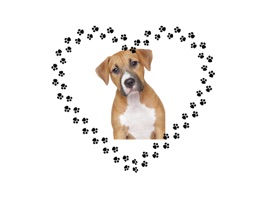 Animated Dog Lovers Sticker Pack