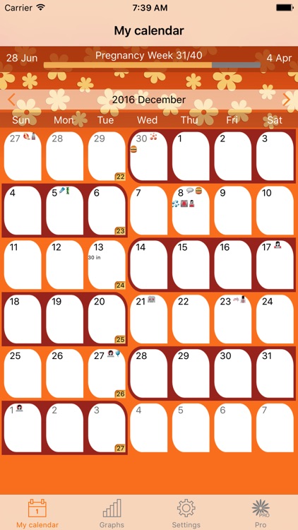 WomanLog Pregnancy Calendar