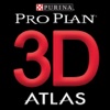 3D Atlas AR