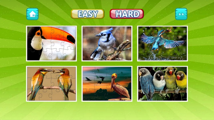 Bird Jigsaw Easy and Hard - Learn Puzzles For Kids screenshot-3