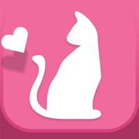 올댓 소개팅 - 1분만에 이상형을  만나는 멋진 방법 PC 용