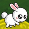 Cute Rabbit Forest Rusher