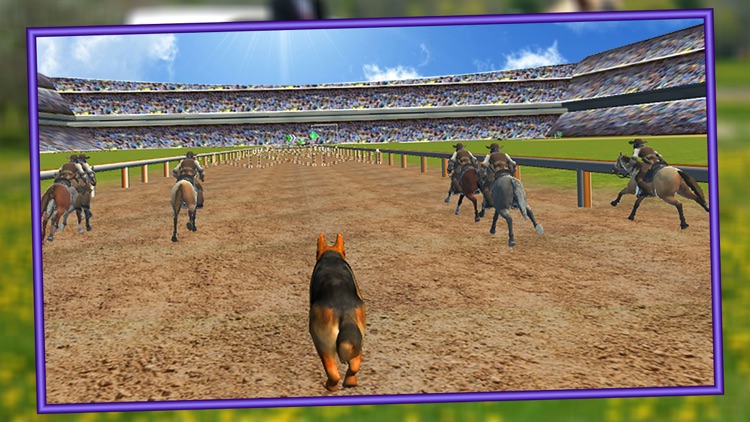 Crazy Dog Race : Real Racing Adventure Game