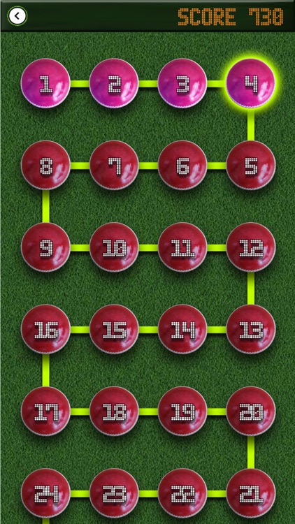 Brick Breaker CRICKET Edition