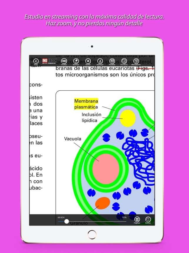 INGEBOOK(圖2)-速報App