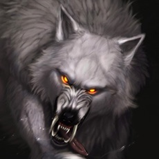 Activities of Cool Werewolf HD Wallpapers