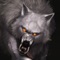 Icon Cool Werewolf HD Wallpapers