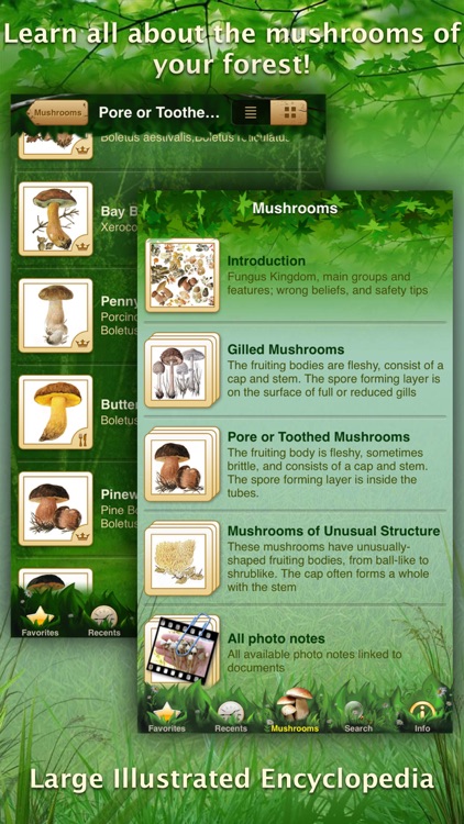 Mushrooms: Great Encyclopedia of Fungi