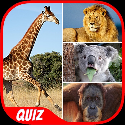 Animals Quiz - Trivia Quiz iOS App