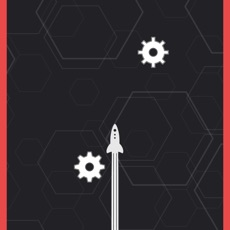 Activities of RoShip Swing