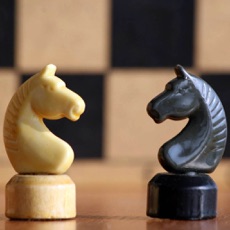 Activities of Chess Master Class