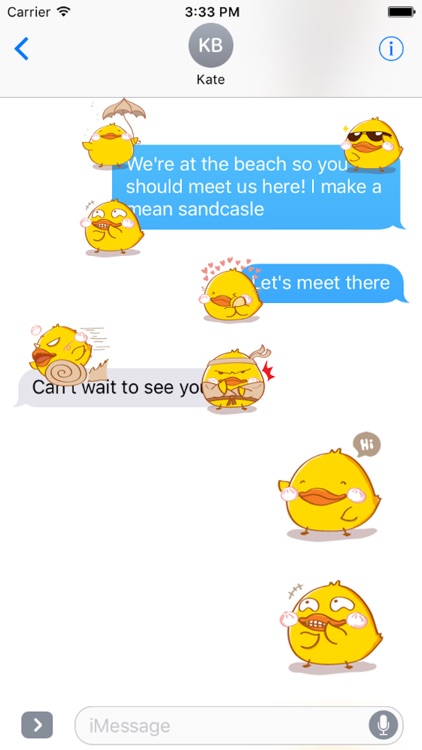 Fat Funny Duck
