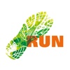Run for the Rainforest