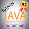 Learn Java Programming Pro Course With Exercises