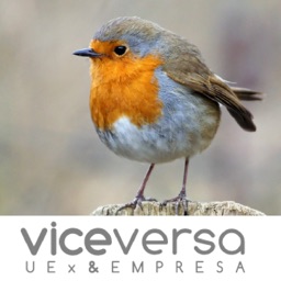 Revista Viceversa