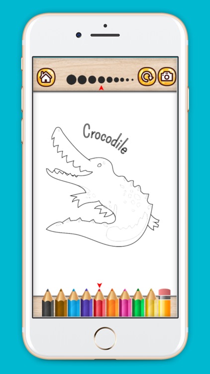 Forest Animals coloring book screenshot-3