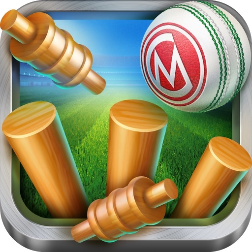 Cricket-Manager Icon
