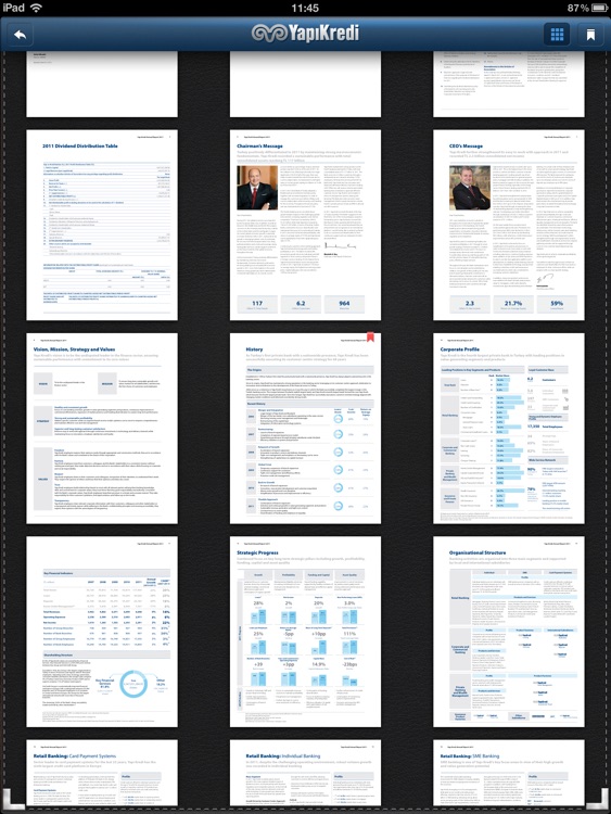 Yapı Kredi Annual Reports screenshot-4