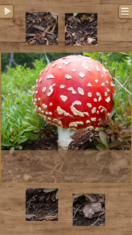 Jigsaw Puzzles - Logical Game for Kids and Adults screenshot-3