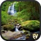 Icon Forests & Waterfalls SMART Guide