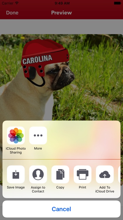 Carolina Hockey Stickers & Emojis screenshot-4