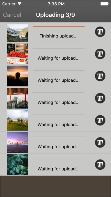 Picashare for Picasa and Google Photos albums screenshot-3