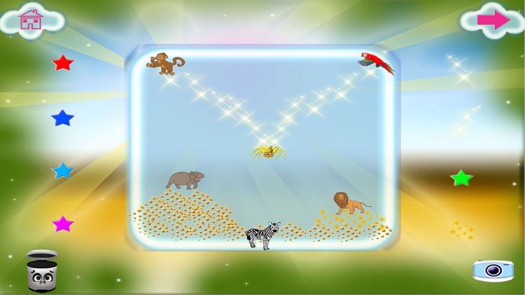 Magnetic Animals Wild Board