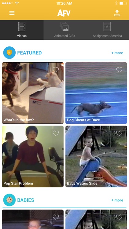 America's Funniest Home Videos