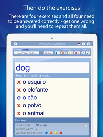 Declan Portuguese FlashCards for iPad screenshot 4