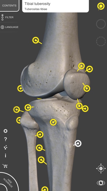 Skeleton 3D Anatomy screenshot-4