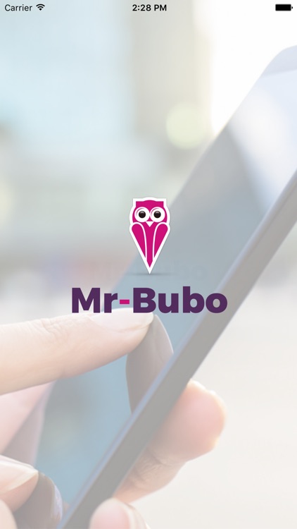 Mr-Bubo Experience