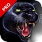 Black Panther Hunting 3D Game Pro